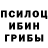 Псилоцибиновые грибы GOLDEN TEACHER Polina Kuchma