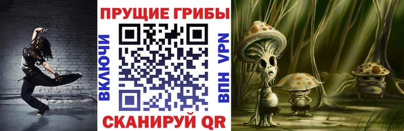 Псилоцибиновые грибы прущие грибы Гай