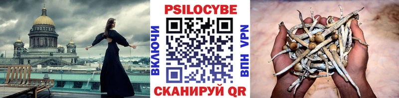 Галлюциногенные грибы MAGIC MUSHROOMS  купить наркотик  Гай 