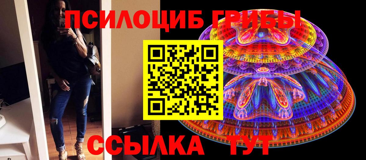 Гай  Псилоцибиновые грибы мухоморы  Вход с VPN 