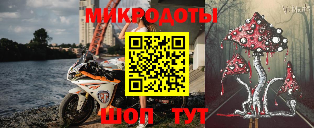 Галлюциногенные грибы Cubensis Гай